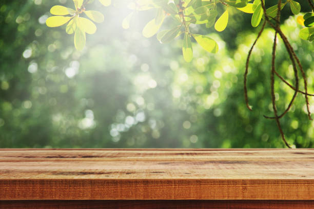 istock Wooden table and blur green forest background. 939887272