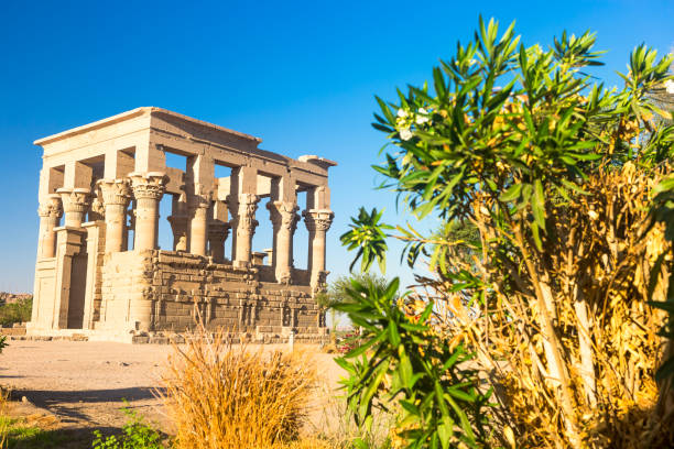 istock Philae temple in aswan on the Nile in Egypt 939887410
