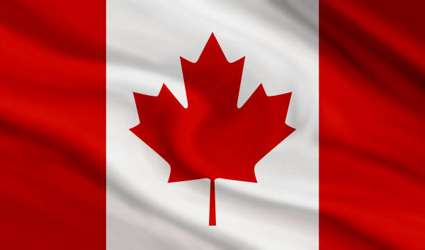 istock Canada flag of canvas texture background 939890568