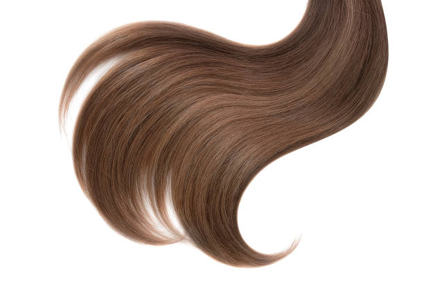 istock Curl of natural hair on a white background 939891220