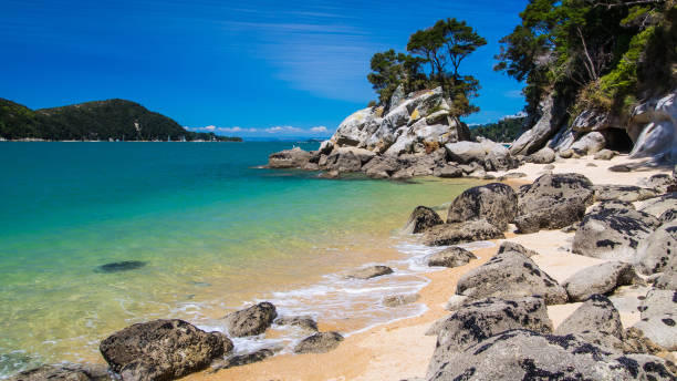 istock Beautiful beach in New Zealand. 939892302