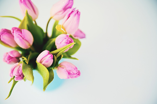 Pink tulip bouquet of flowers for Mother's Day