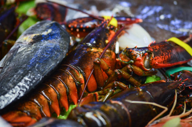 istock fresh sea food & fish 939902056