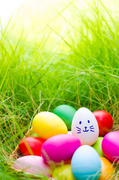 istock Easter eggs cute bunny. Funny happy in easter day on wood background 939903052