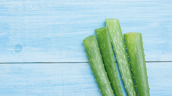 Green aloe vera on a blue wooden table.