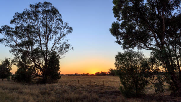 istock New South Wales – Early Morning 939914926