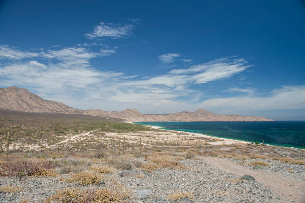 istock Cove of the Dead Beach 939915116