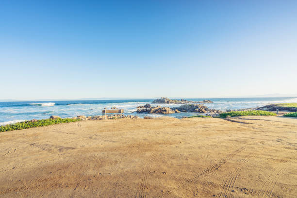 empty sand beach with tyre track,California,USA. stock photo