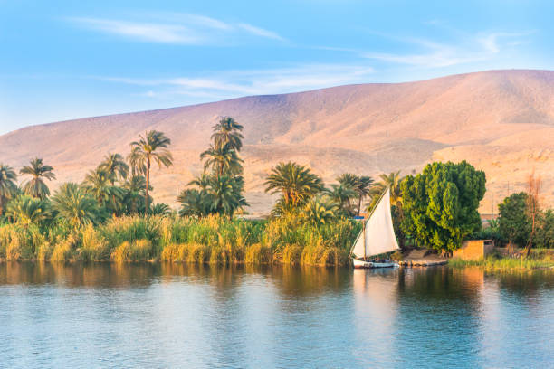 River Nile in Egypt. River Nile in Egypt. Luxor, Africa. luxor thebes stock pictures, royalty-free photos & images