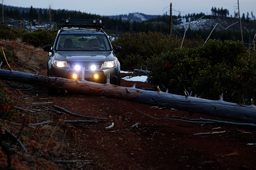 March 10, 2018 - Camp Sherman, Oregon, USA: A Subaru Forester is blocked by a fallen dead tree across a dirt National Forest road in the Oregon Cascades.