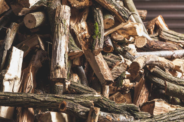 istock firewood of different shapes piled with bunch 939929442