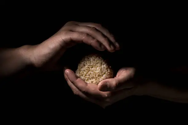 Hands of craftmen holding rice balls