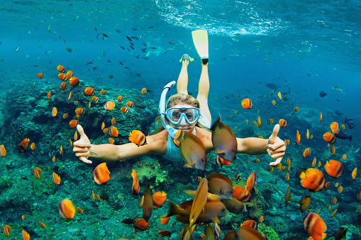 Mujer joven snorkeling con peces de arrecife de coral photo