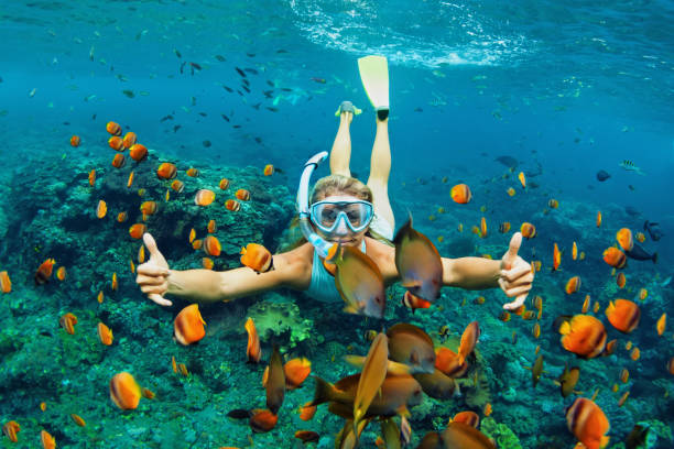 Young woman snorkeling with coral reef fishes Happy family - girl in snorkeling mask dive underwater with tropical fishes in coral reef sea pool. Travel lifestyle, water sport outdoor adventure, swimming lessons on summer beach holiday with kids hawaii islands photos stock pictures, royalty-free photos & images