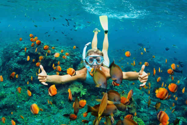 Young woman snorkeling with coral reef fishes Happy family - girl in snorkeling mask dive underwater with tropical fishes in coral reef sea pool. Travel lifestyle, water sport outdoor adventure, swimming lessons on summer beach holiday with kids family pictures stock pictures, royalty-free photos & images