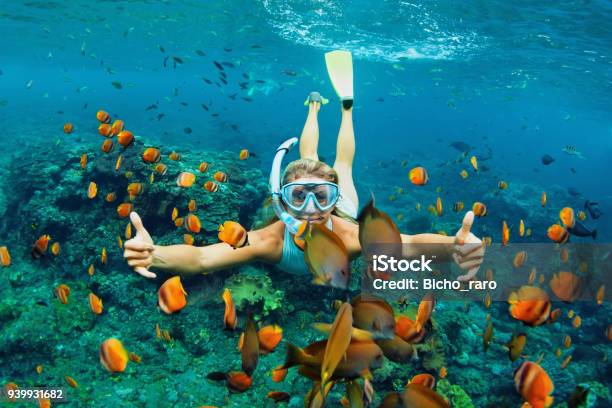 Young Woman Snorkeling With Coral Reef Fishes Stock Photo - Download Image Now - Snorkeling, Vacations, Hawaii Islands