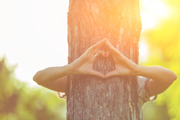 istock Girl holding a heart - shape symbol around the tree. 939943996