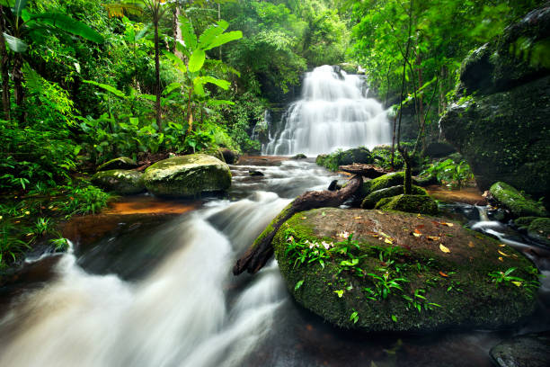 istock Background of streaming waterfall. waterfall in thai national park. In the deep forest on mountain. 939947516