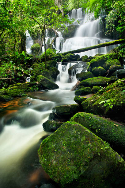 istock waterfall in thai national park. In the deep forest on mountain. 939951366