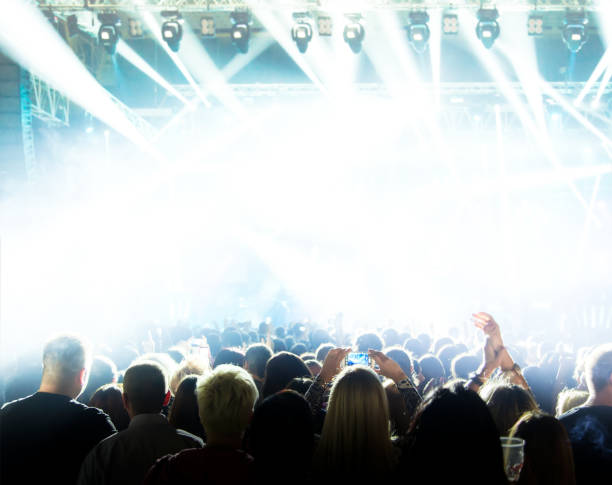 istock Silhouettes of crowd at a rock concert 939958344
