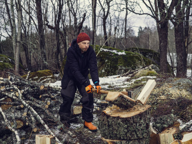 istock Man chopping cleaving doing wood work outside woodcutter/lumberjack 939966124