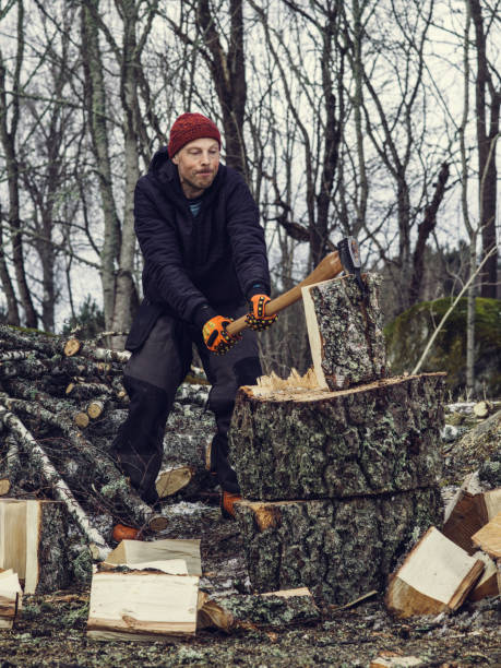 istock Man chopping cleaving doing wood work outside woodcutter/lumberjack 939970722