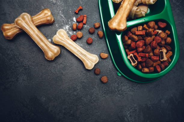 istock Dry pet food in bowl 939989636