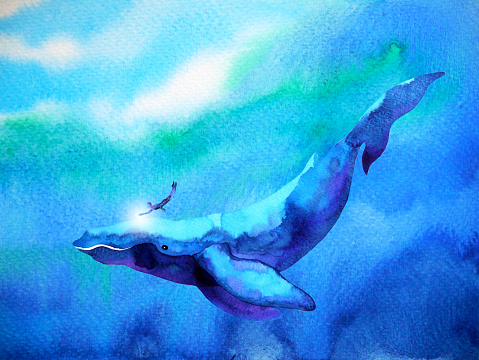 human and whale diving swimming underwater together watercolor painting illustration hand drawn