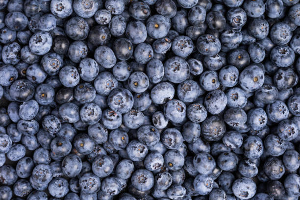 istock Fresh blueberry background. Summer berries. Texture blueberry 940002316