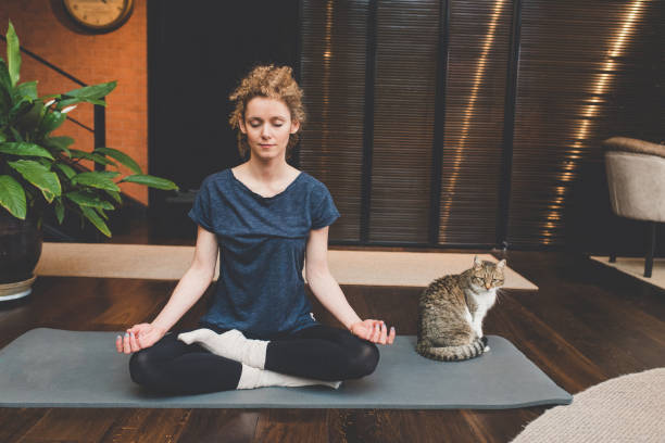 practicing yoga at home - stretching women attractive female indoors imagens e fotografias de stock