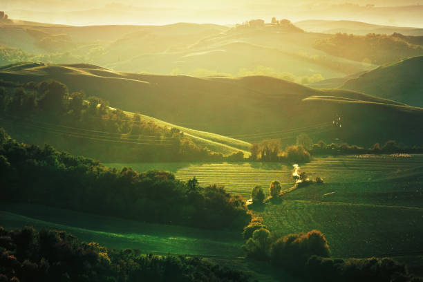 istock Hills in Tuscany at sunset 940020922