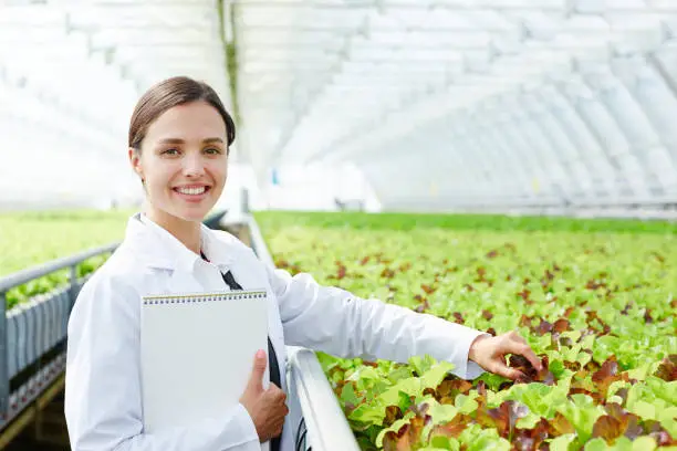 Young woman in whitecoat looking at camera while standing by lettuce plantation in glasshouse