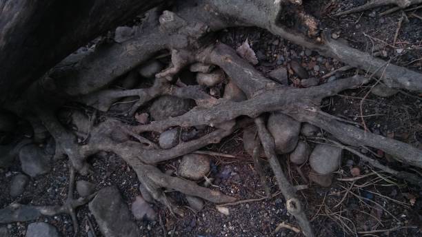 istock Early spring on the riverbank 940035116
