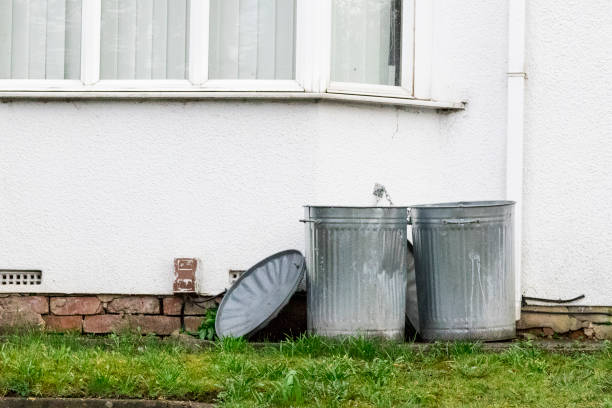 istock Two metal dustbins outside a house 940041960