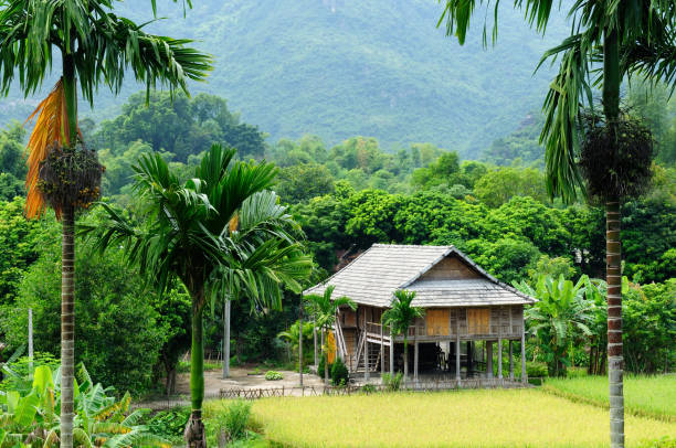 istock rural scene in the Vietnamese 940043182