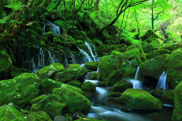 istock Summer former falls underwater water 940047012