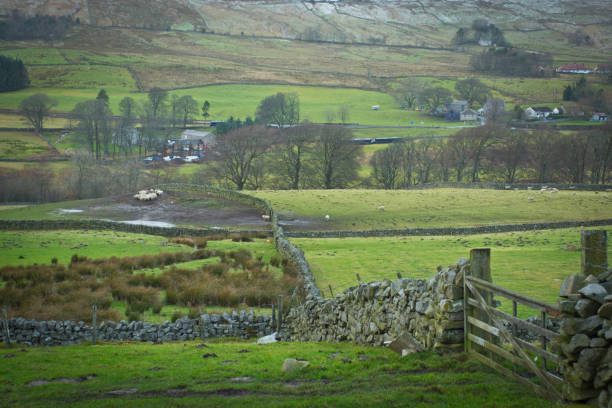 istock Dry stone wall on a sheep farm 940050468
