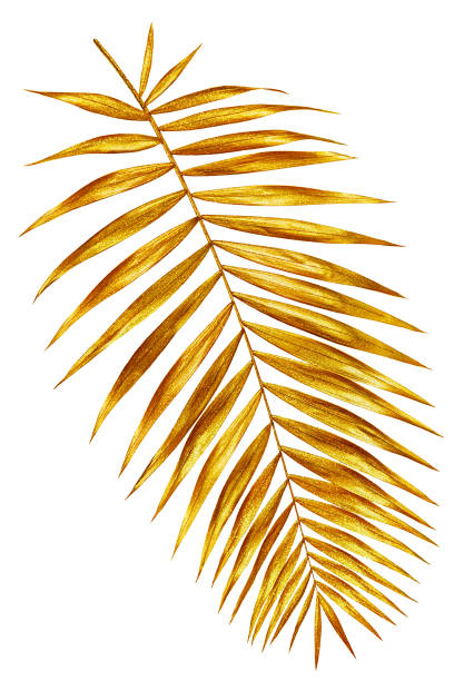istock branch of palm gold shiny 940065104