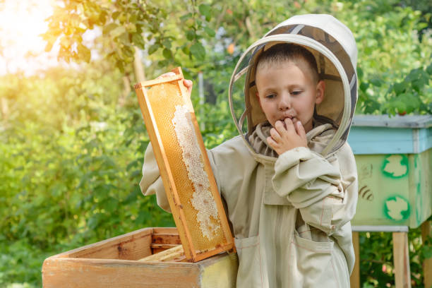 istock The boy beekeeper eats fresh honey directly from the hive. Honey 940066678