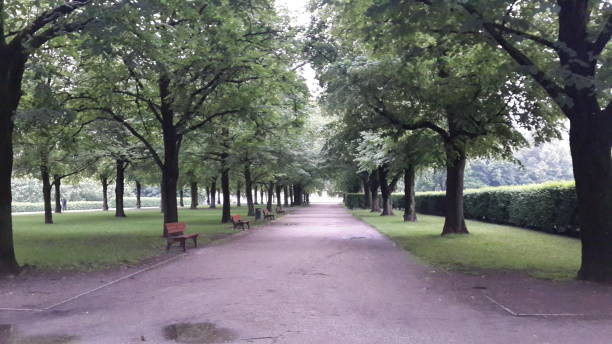 istock Beautiful park road with trees 940071086