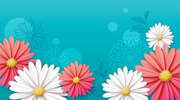 Daisy Flower Background Illustration of paper flowers, daisies on blue, turquoise background. flower background stock illustrations