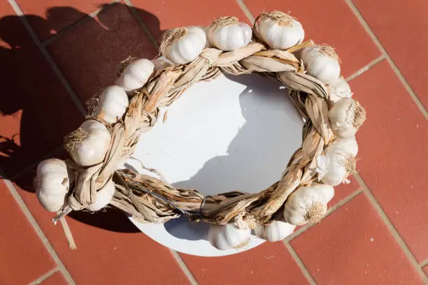 Photo of A garlic braid