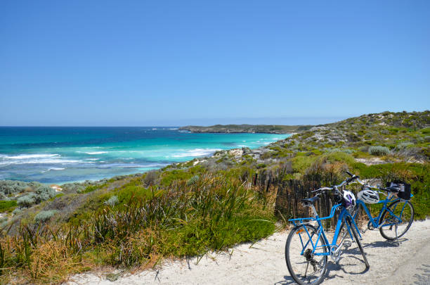Australia, WA, Rottnest Island Australia, coast and vegation on Indian ocean in Rottnest Island, bicycles are a usual mode of transport rottnest island photos stock pictures, royalty-free photos & images