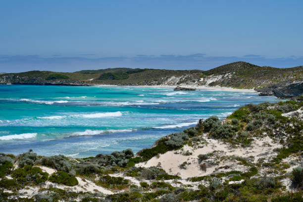 istock Australia, WA, Rottnest Island 940098706