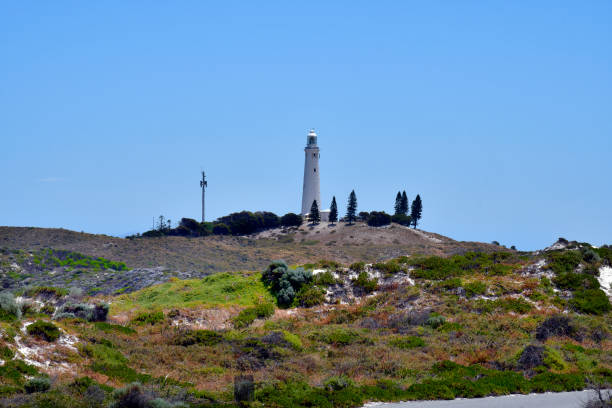istock Australia, WA, Rottnest Island 940098712