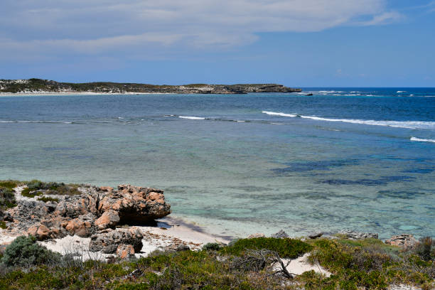 istock Australia, WA, Rottnest Island 940099312