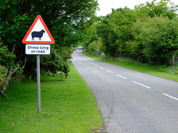 istock Traffic sign in Dartmoor National Park 94010087