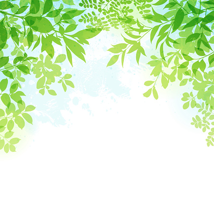 Spring leaves silhouette background. Green leaves on white background.