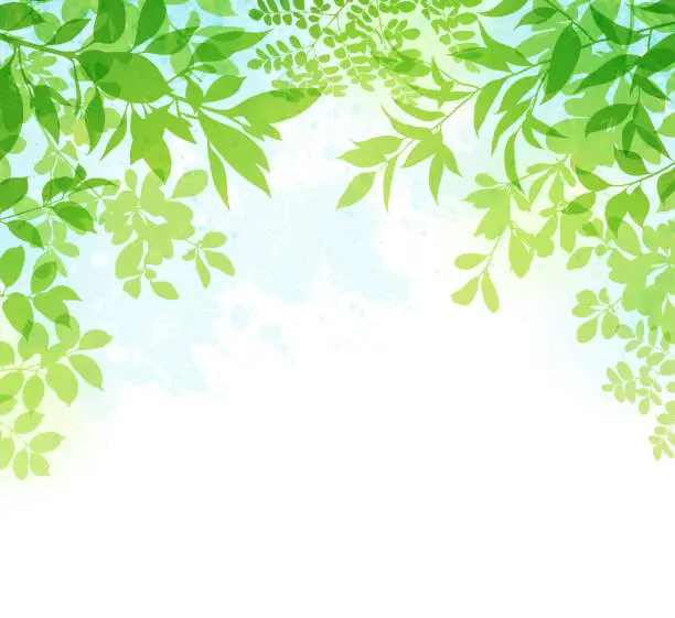 Vector illustration of Spring Leaves Background