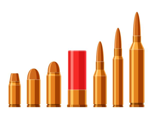 ilustrações de stock, clip art, desenhos animados e ícones de cartridges vector set. a collection of bullets isolated on white background. weapon ammo types and size in flat style. vector illustration - rifle shooting target shooting hunting